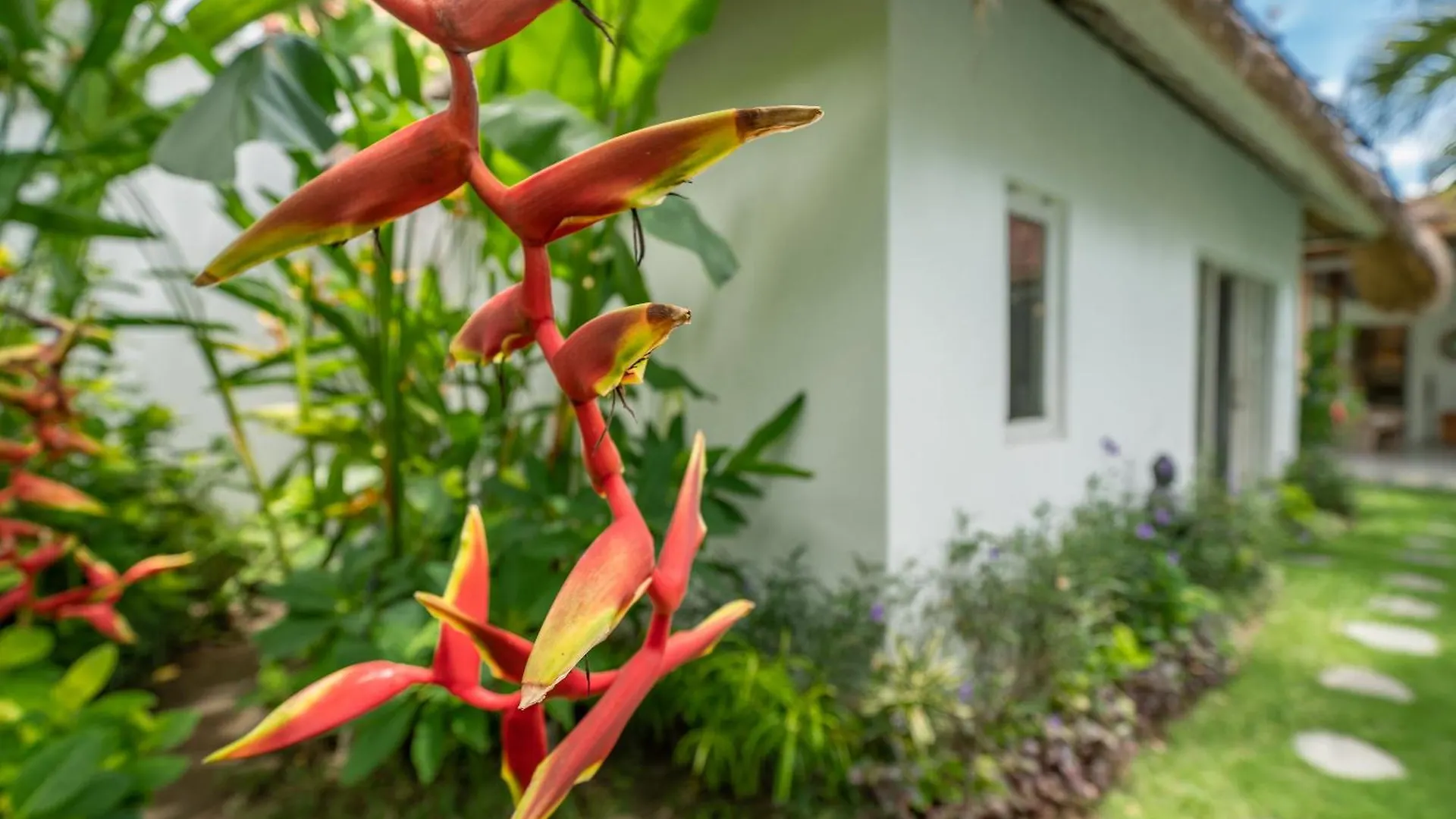 Villa Palm Tree - Huge 4Bd Villa Center Seminyak סמיניאק